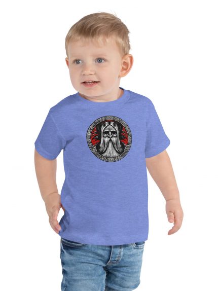 toddler-staple-tee-heather-columbia-blue-front-66421bb92425c.jpg