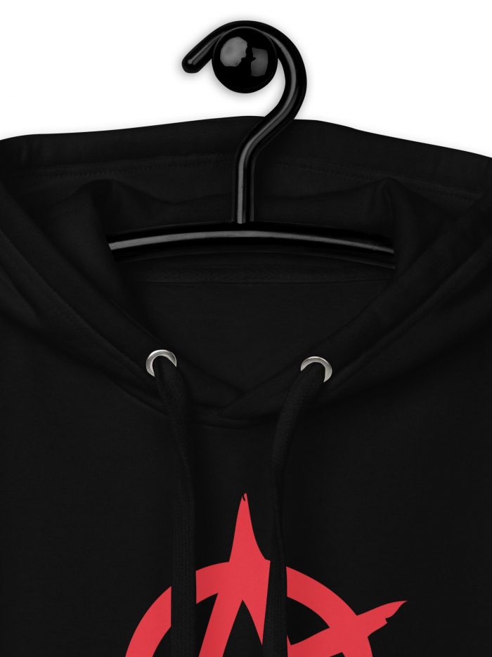 unisex-premium-hoodie-black-zoomed-in-66339caa78cc7.jpg