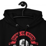 unisex-premium-hoodie-black-zoomed-in-6634d57f4f802.jpg
