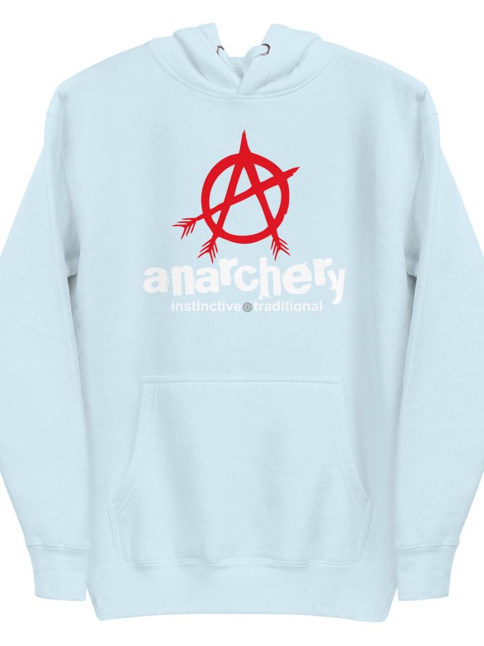 unisex-premium-hoodie-sky-blue-front-66339caa93e09.jpg