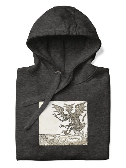 unisex-premium-hoodie-charcoal-heather-front-6680315935752.jpg