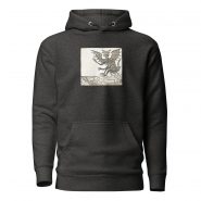unisex-premium-hoodie-charcoal-heather-front-6680315949d8e.jpg