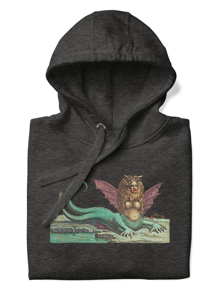 unisex-premium-hoodie-charcoal-heather-front-66929eb8ed6f9.jpg