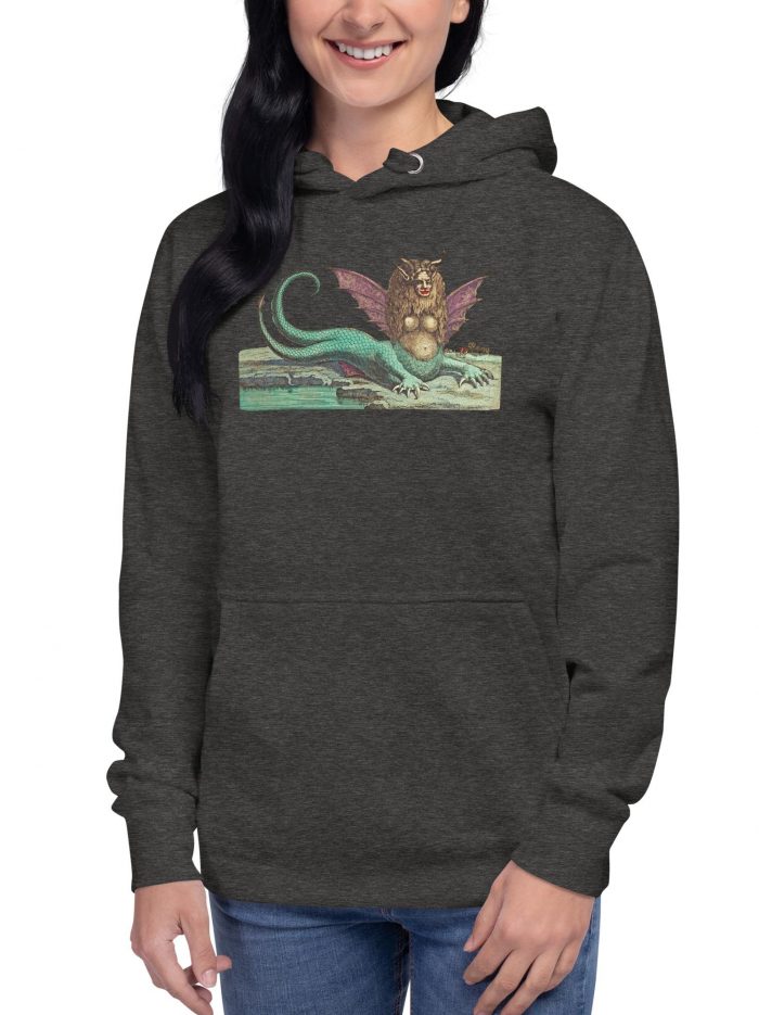unisex-premium-hoodie-charcoal-heather-front-66929eb915333.jpg