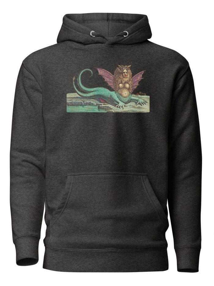 unisex-premium-hoodie-charcoal-heather-front-6692a038257df.jpg unisex-premium-hoodie-charcoal-heather-front-6692a038257df.jpg