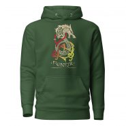 unisex-premium-hoodie-forest-green-front-669d328d9e126.jpg