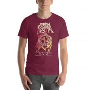 unisex-staple-t-shirt-maroon-front-669d279fdf428.jpg