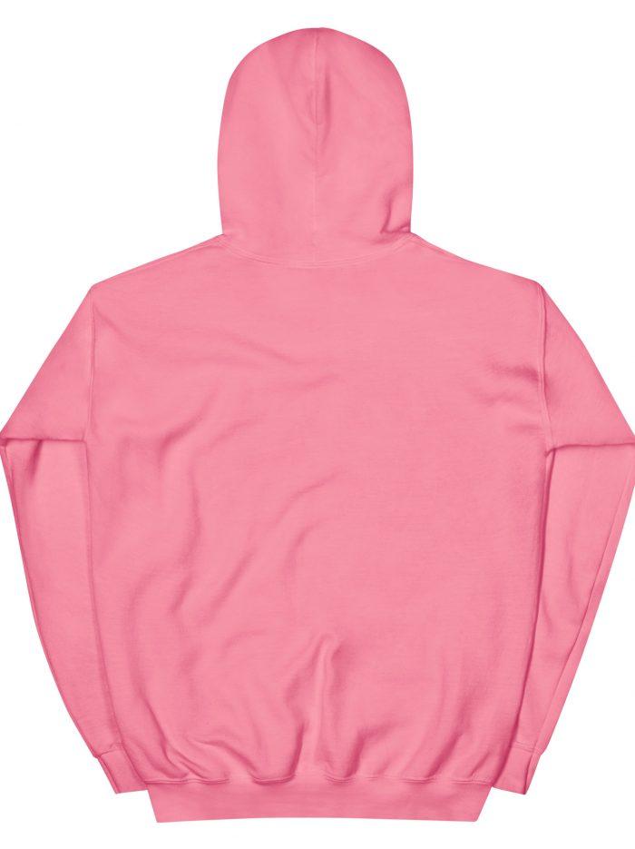 unisex-heavy-blend-hoodie-azalea-back-68c70364878e4.jpg unisex-heavy-blend-hoodie-azalea-back-68c70364878e4.jpg